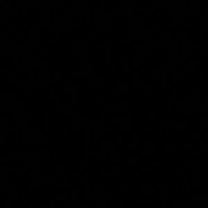 Meet your Posher, Bassma